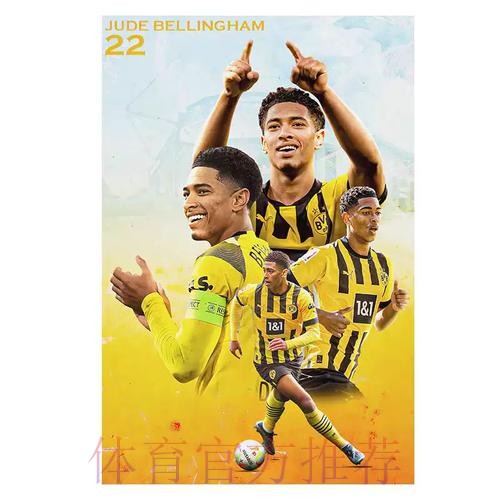 本届世界杯葡萄牙贝林厄姆晋级分析完整指南